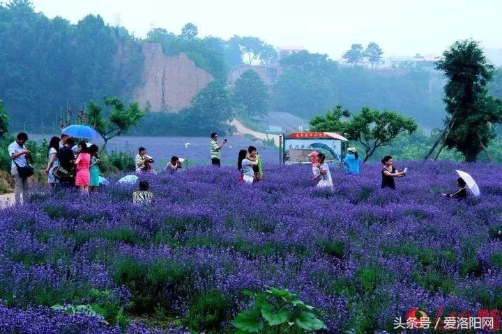 孟津是属于什么地方的,为什么叫延津孟津