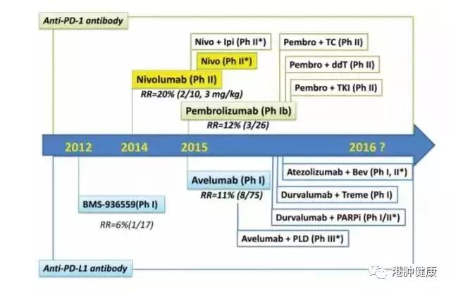 女性常见肿瘤之卵巢癌的免疫治疗