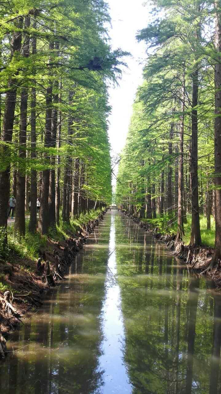 手拍世界作品集402期,2022年世界手机摄影大赛征稿