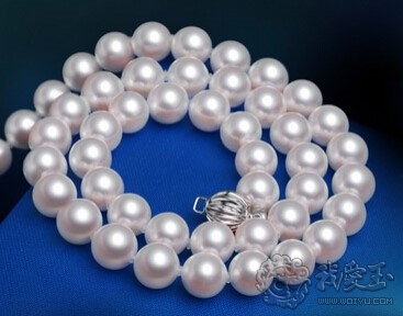 日本海水珍珠和akoya区别,akoya珍珠日本官网