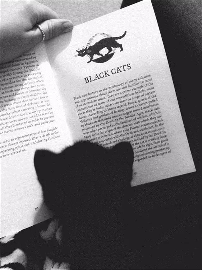 微商发朋友圈的经典语录,店里朋友圈励志正能量语录