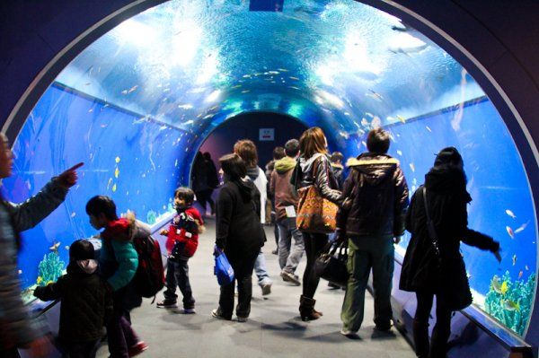 大阪的旅游景点拍照攻略,日本大阪自由行超全攻略