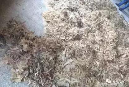 霉菌导致，育肥羊长势慢和母羊流产问题！