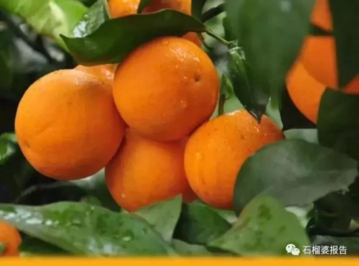 一天能赚5万元的兼职,一个月赚5千的兼职