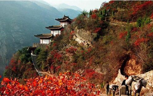 红叶满渝！麻将之余不如带上妹儿共赴巫山耍下！