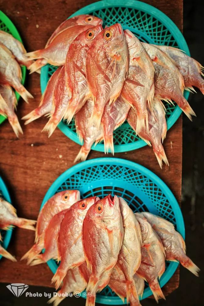 济州岛小众宝藏,世界城市寻宝记济州岛