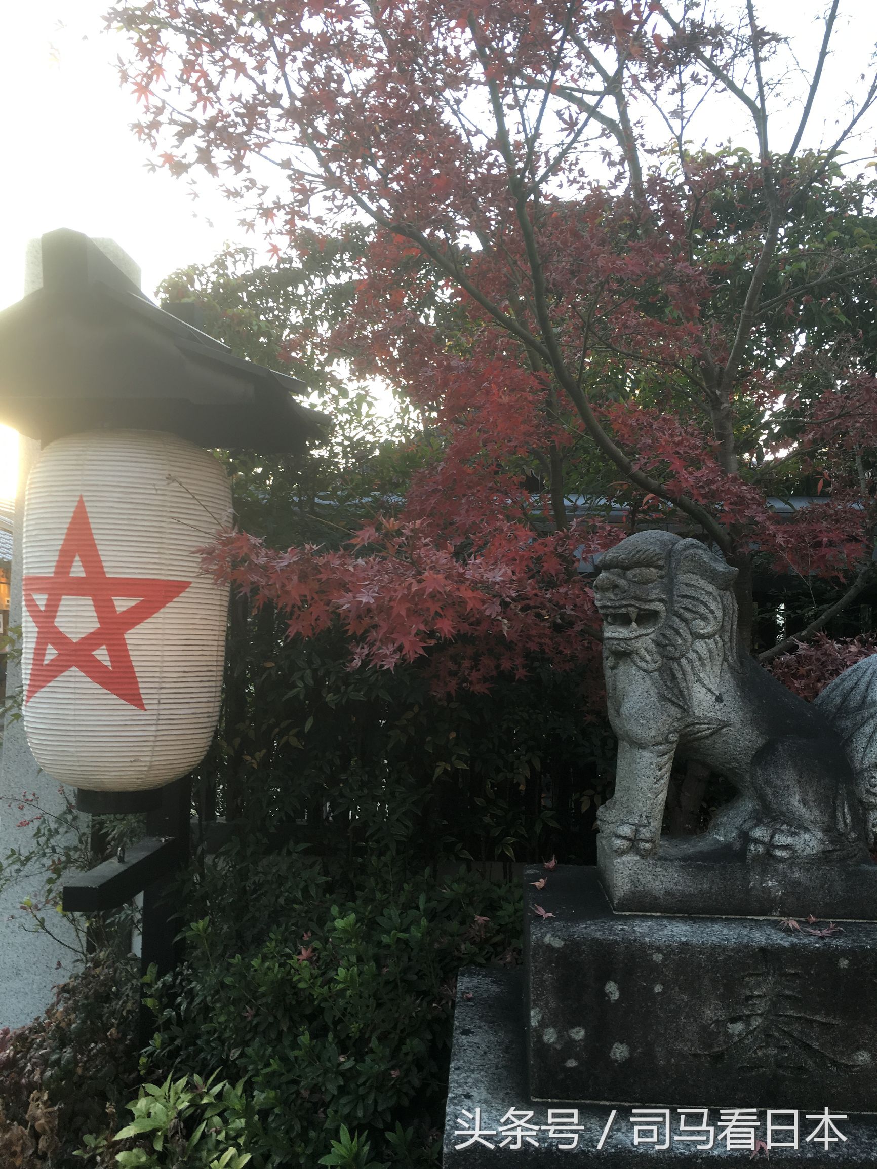 阴阳师衍生作安倍晴明的现代生活,安倍晴明阴阳师历史