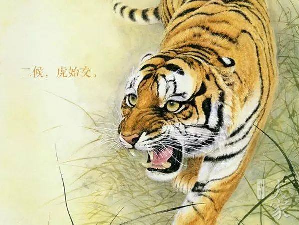 夜深知雪重读音,夜深知雪重完整版