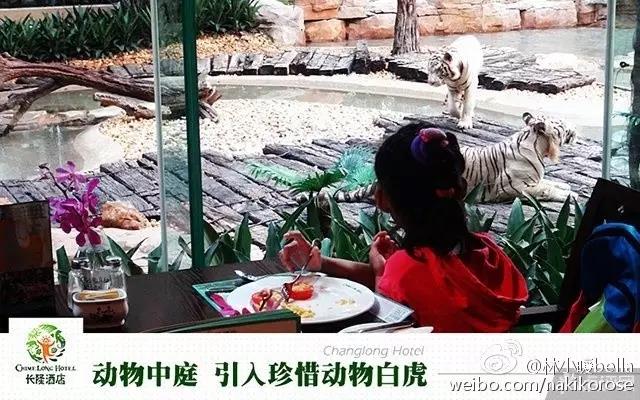 两大一小广州长隆亲子游攻略,最新广州长隆带娃游玩攻略2天