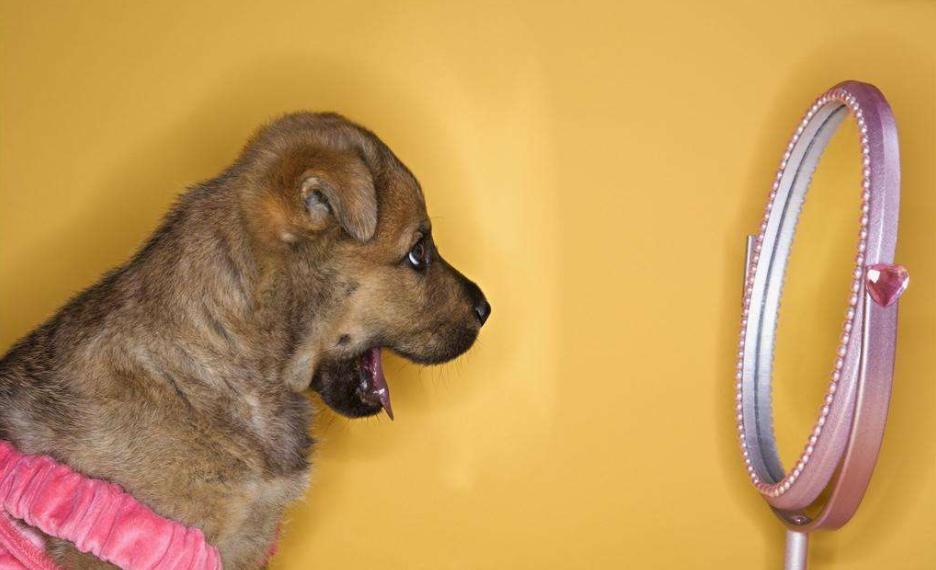 补水保湿吸收效果超好的面膜,推荐几款保湿补水面膜