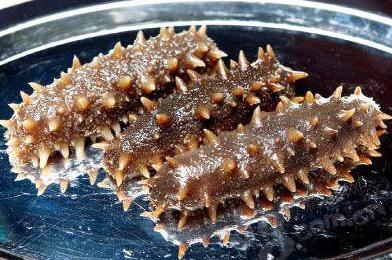 怎么用即食海参做葱烧海参,即食海参怎样做葱烧海参