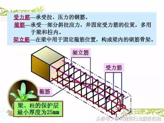 9张图教你看懂户型图,建筑图纸怎么看梁配筋图