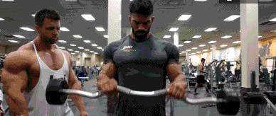 后束肌肉训练方法,后束训练三头发力