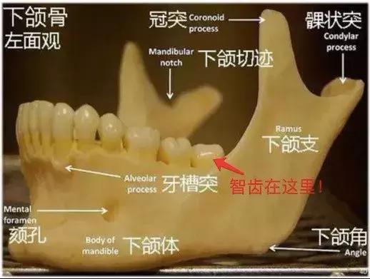 牙科谣言大全,牙科诊所内幕分析