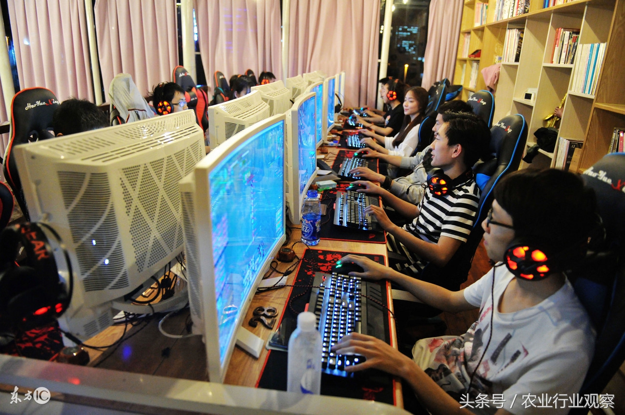 8个新农村快速致富创业点子,农业创业项目农村致富项目