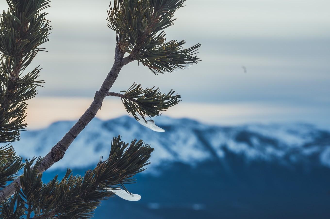 内华达州，孤独颂唱着苍茫西部的沉浮岁月