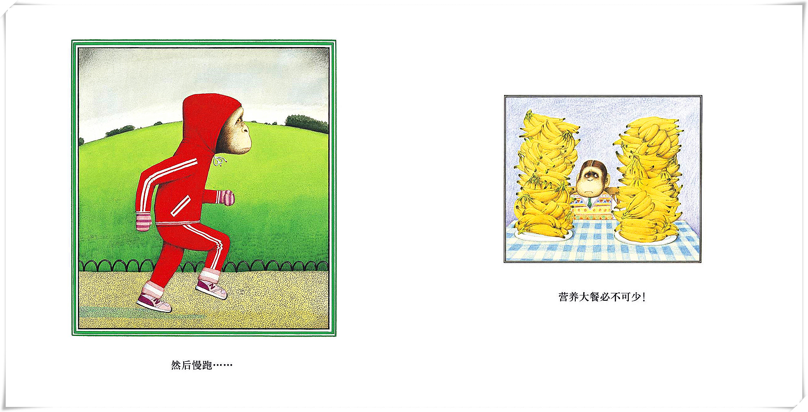 强壮才是找回自信的捷径—《胆小鬼威利》导读