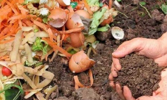 自制肥料都是什么肥料,在家怎么用普通东西来做肥料