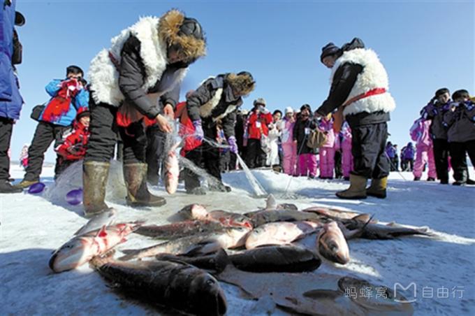漠河旅游包车全景图,漠河旅游包车拼车攻略