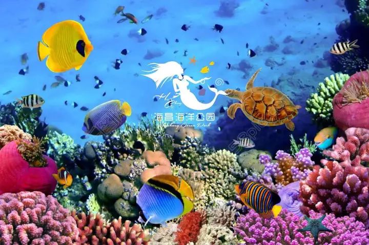 浦东头条新闻,浦东新区新闻头条最新