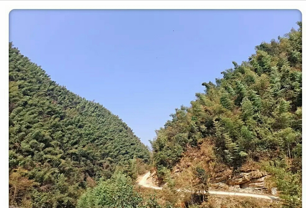 高山生态养殖石蛙,石蛙养殖海拔