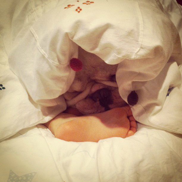 狗狗感冒了可以用小儿感冒颗粒吗,狗狗感冒症状和治疗方法