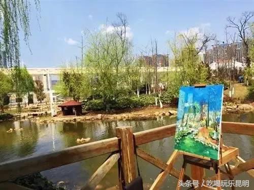 昆十中学校怎么样,昆十中文科实力