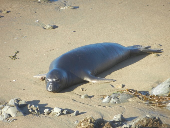 美西旅游攻略2月,美西小环线旅游攻略