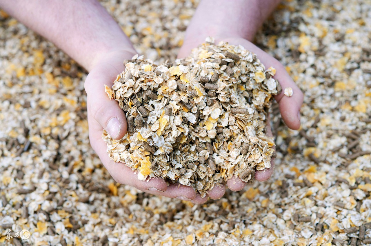 饲料除霉味最有效的方法,饲料防霉与去霉的方法