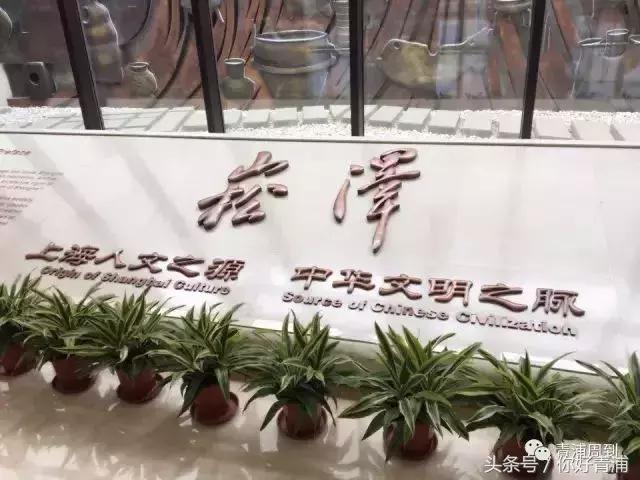 青浦17号线到瑞金医院地铁站,青浦17号线延伸到嘉善站点