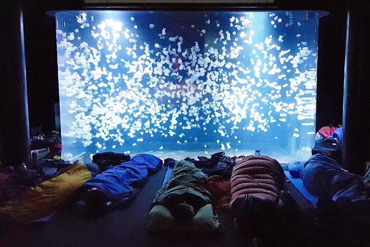 加拿大外星酒店,国外外星酒店