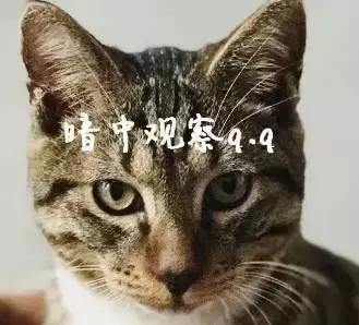 海洋之星superior测评,海洋之心一代真实测评