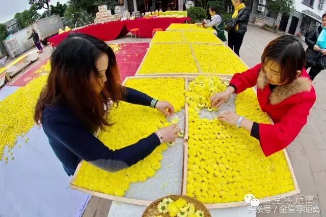 国家森林康养基地示范县,国家级全域森林康养试点建设县