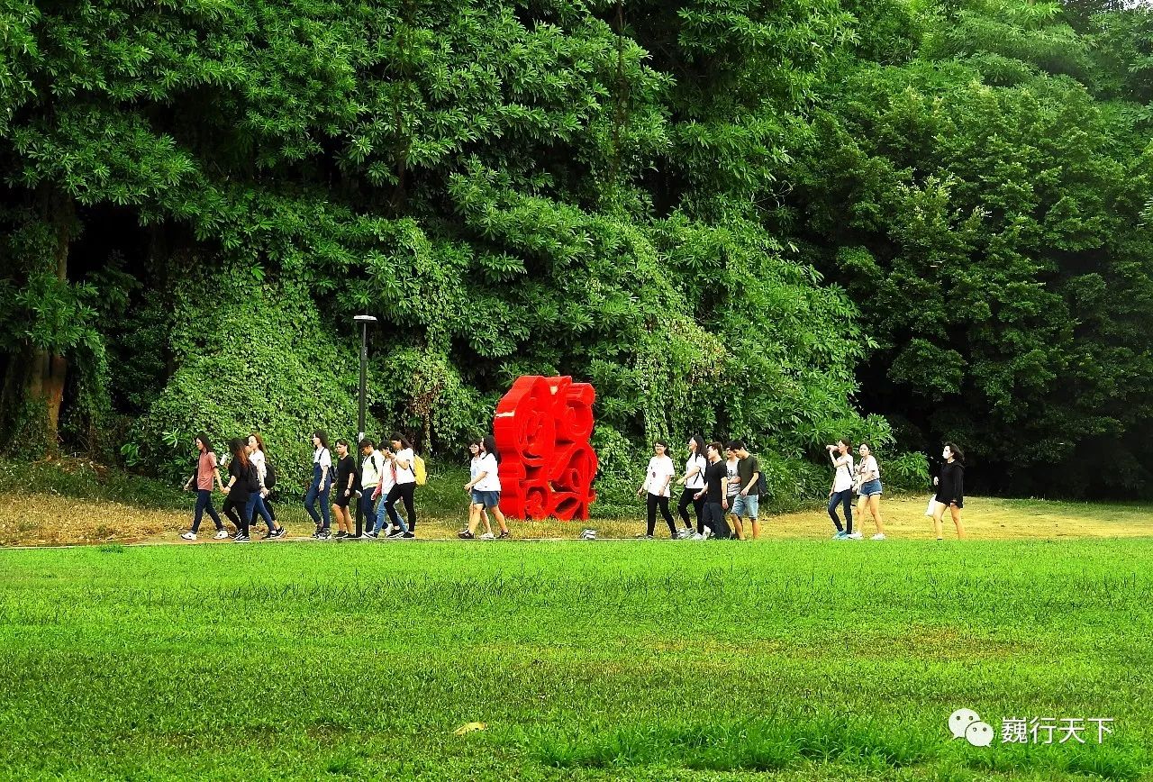这所大学很特别,来的人都会找到逝去的校园爱情故事