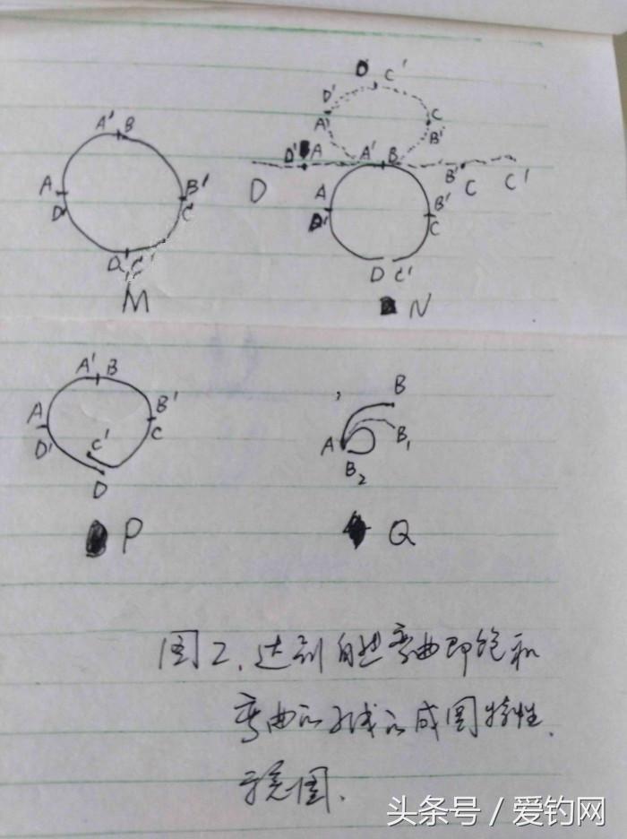 垂钓技术贴,钓鱼子线太细容易缠绕弯曲怎么办