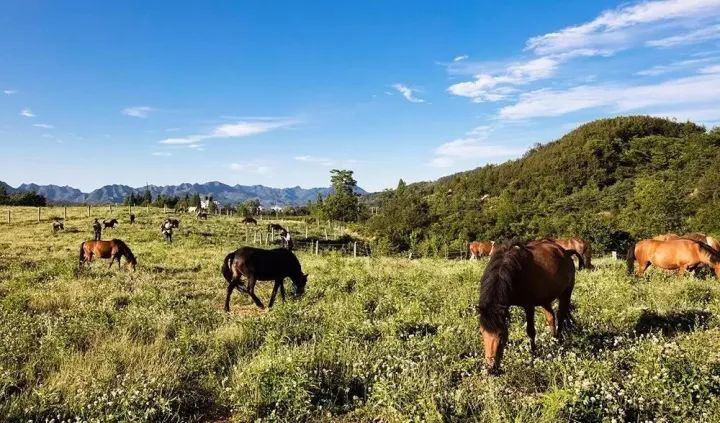 宁强旅游景点排名前十名,宁强县十大旅游景点