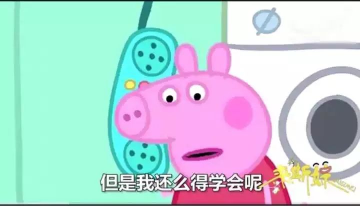 佩奇表情包搞笑图片,适合佩奇的表情包