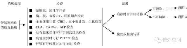 直肠癌肝转移基因检测指南,结直肠癌肝转移诊断和综合治疗