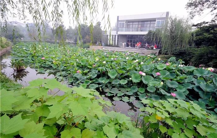 奋战100天向年度目标冲刺,奋战二十天坚决完成建设任务