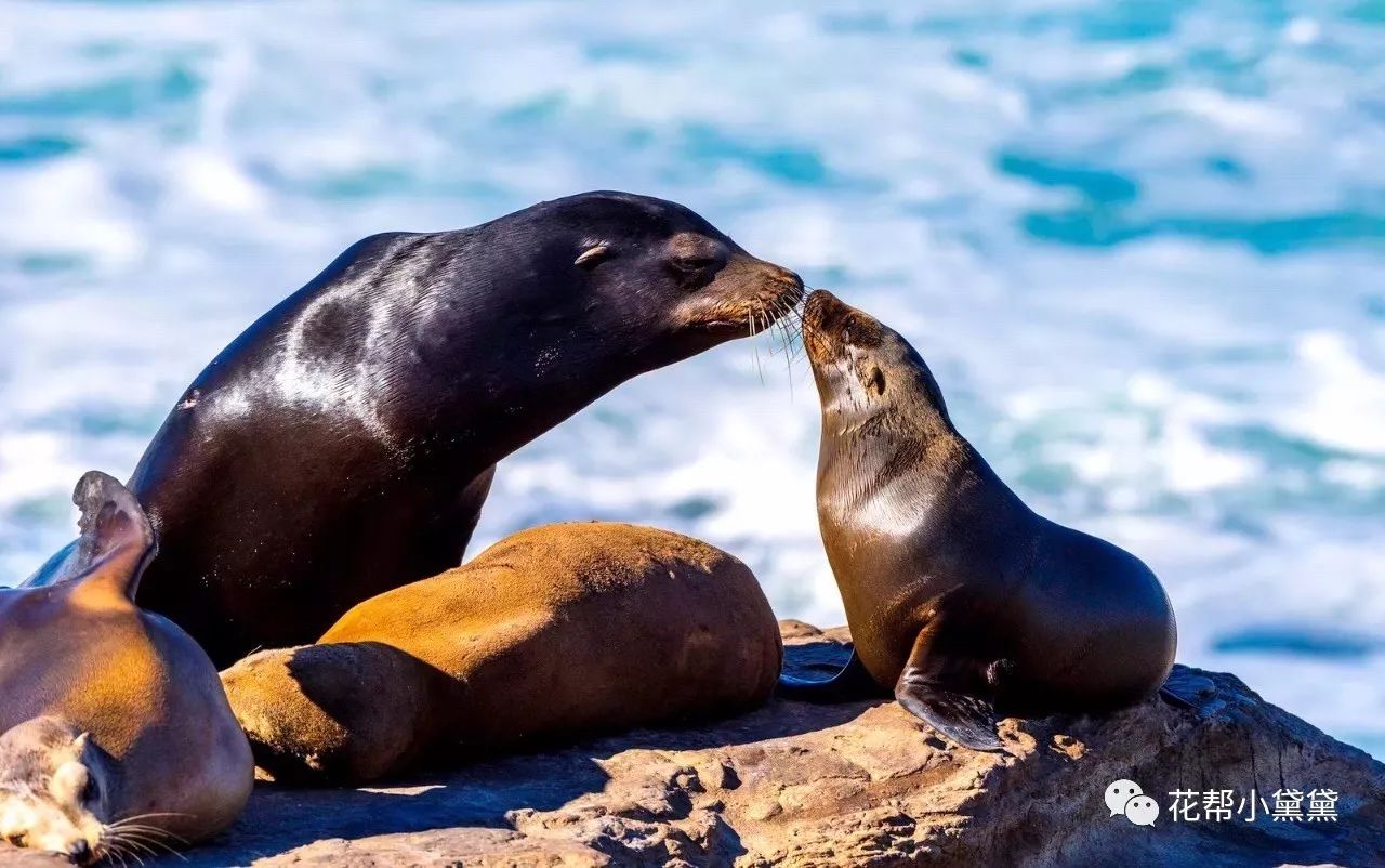 时髦旅拍神器|玩转美国这个城市看这一篇就够了私房路线干货