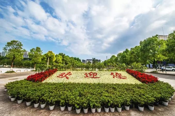 重庆唯一！这所学校入选全国高职院校“国际影响力50强”！是你的母校吗？