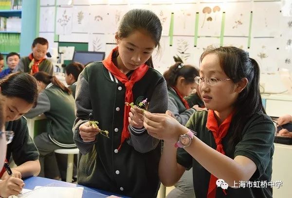 鏂版皯鏅氭姤瀛︽牎,铏规ˉ涓鍖楁牎