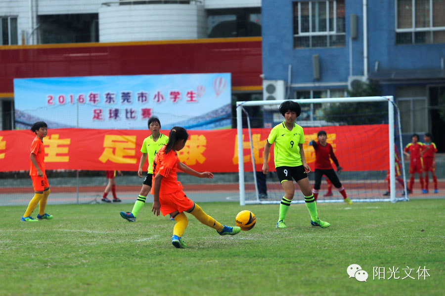 2023年东莞市小学生足球赛,厚街镇第六届小学生足球联赛