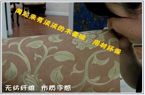 DOUSCH无纺布壁纸,欧式无纺布壁纸