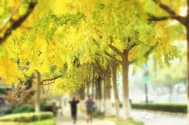 老动物园关门了,苏州这些充满记忆的老地方你还会去吗?