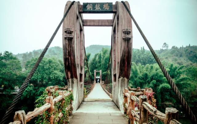 黔南原始森林风景,遇见森林风景