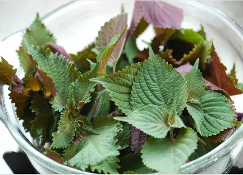 学会了这四招基本不会感冒,教你一招感冒立马解决