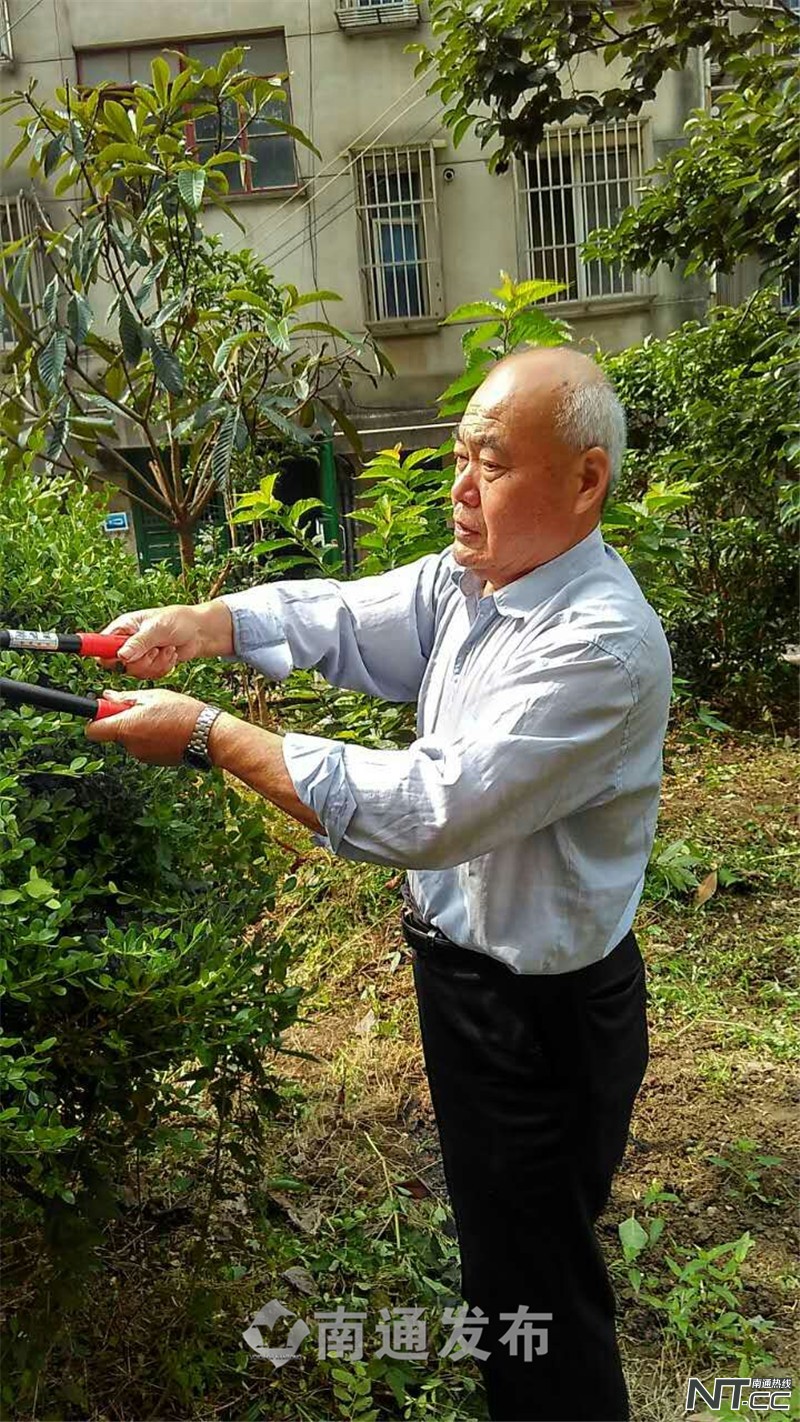 从“濠西菜园子”到“濠西花园”，“春暖花开”护绿队带动居民参与环境自治