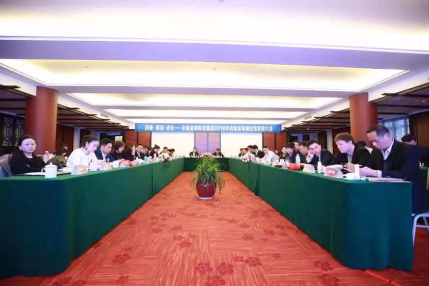 一体两翼发展战略,一体两翼再次腾飞