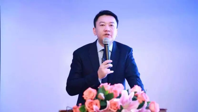 一体两翼发展战略,一体两翼再次腾飞